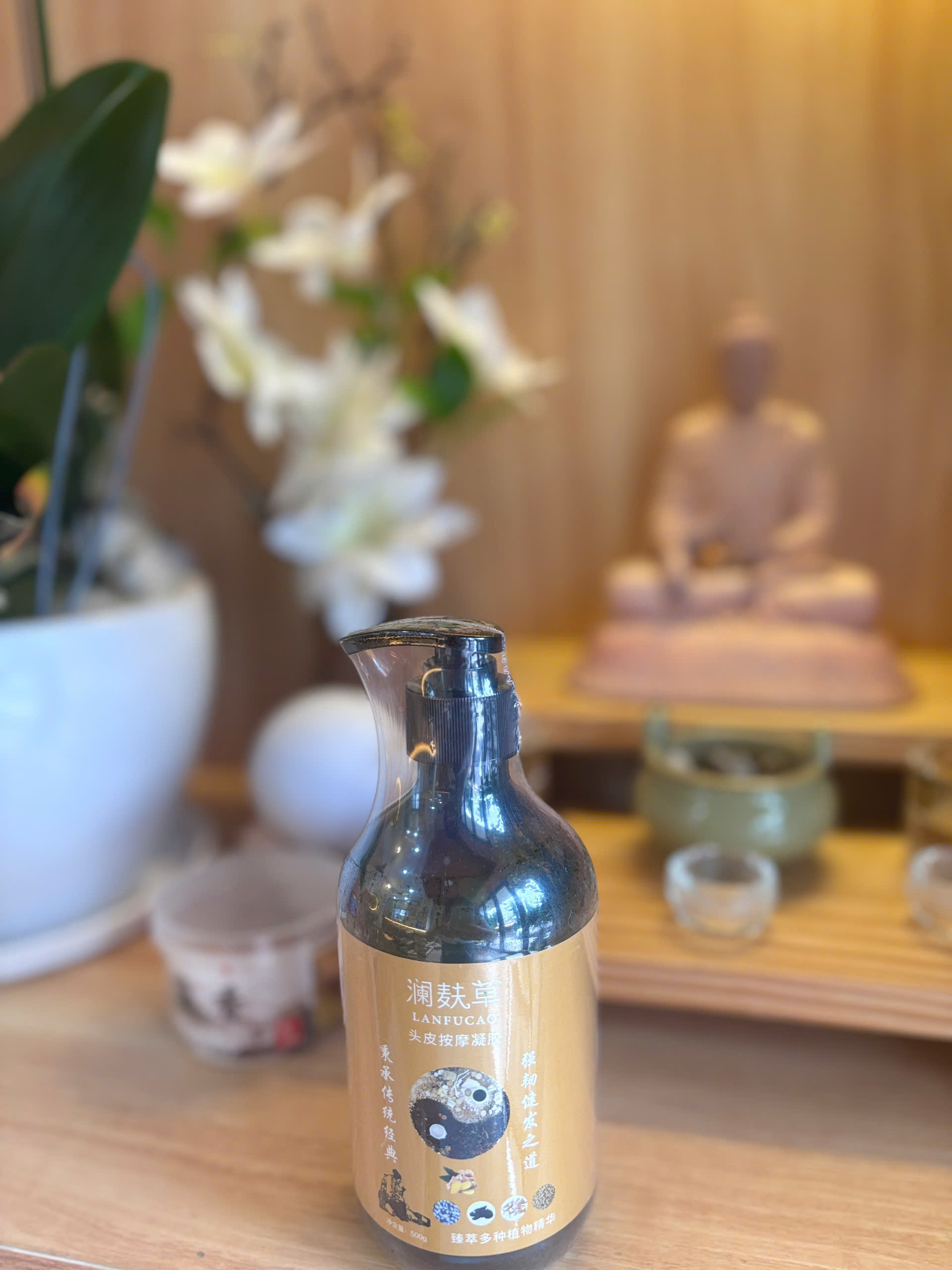 Dầu gừng thượng phu
