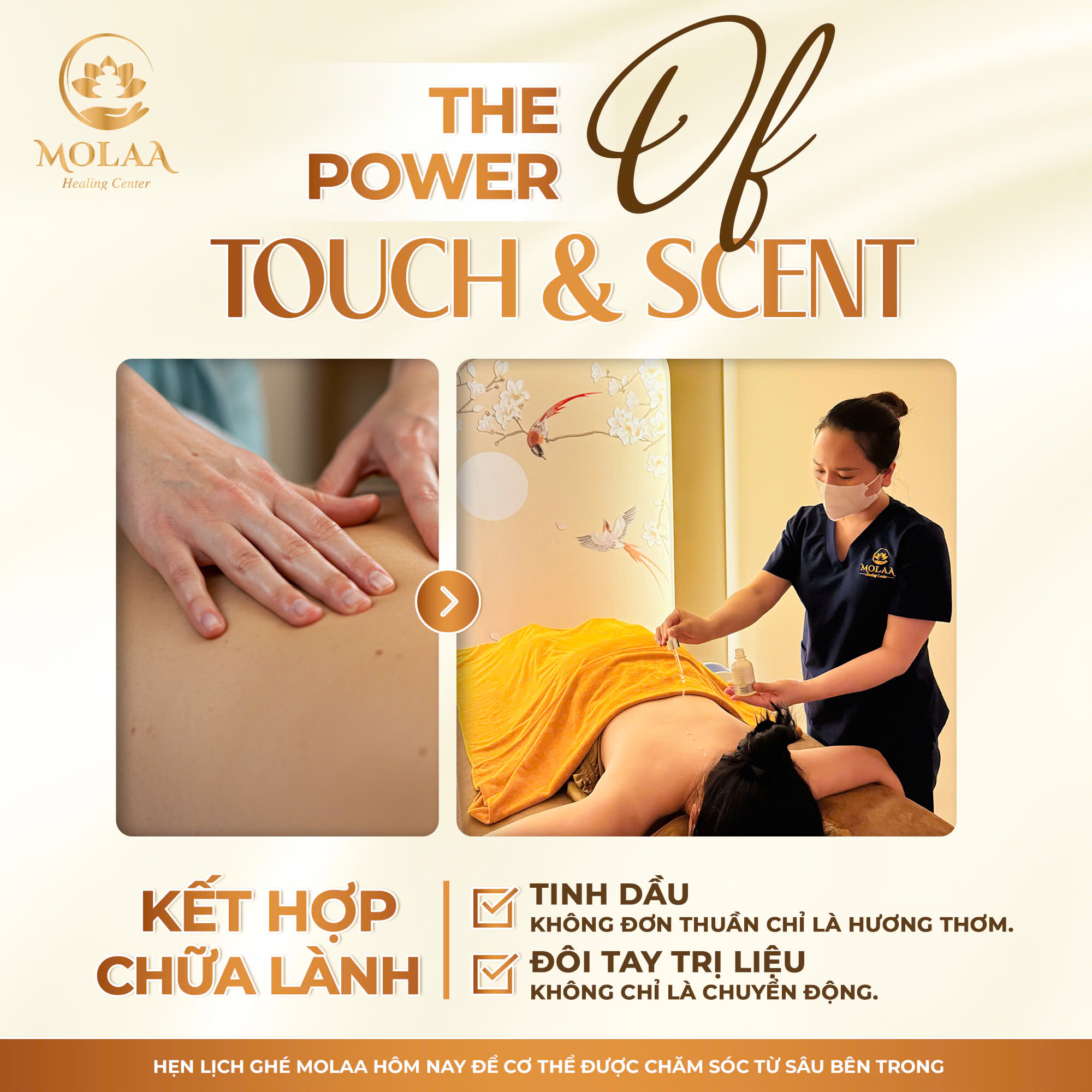 Massage Body