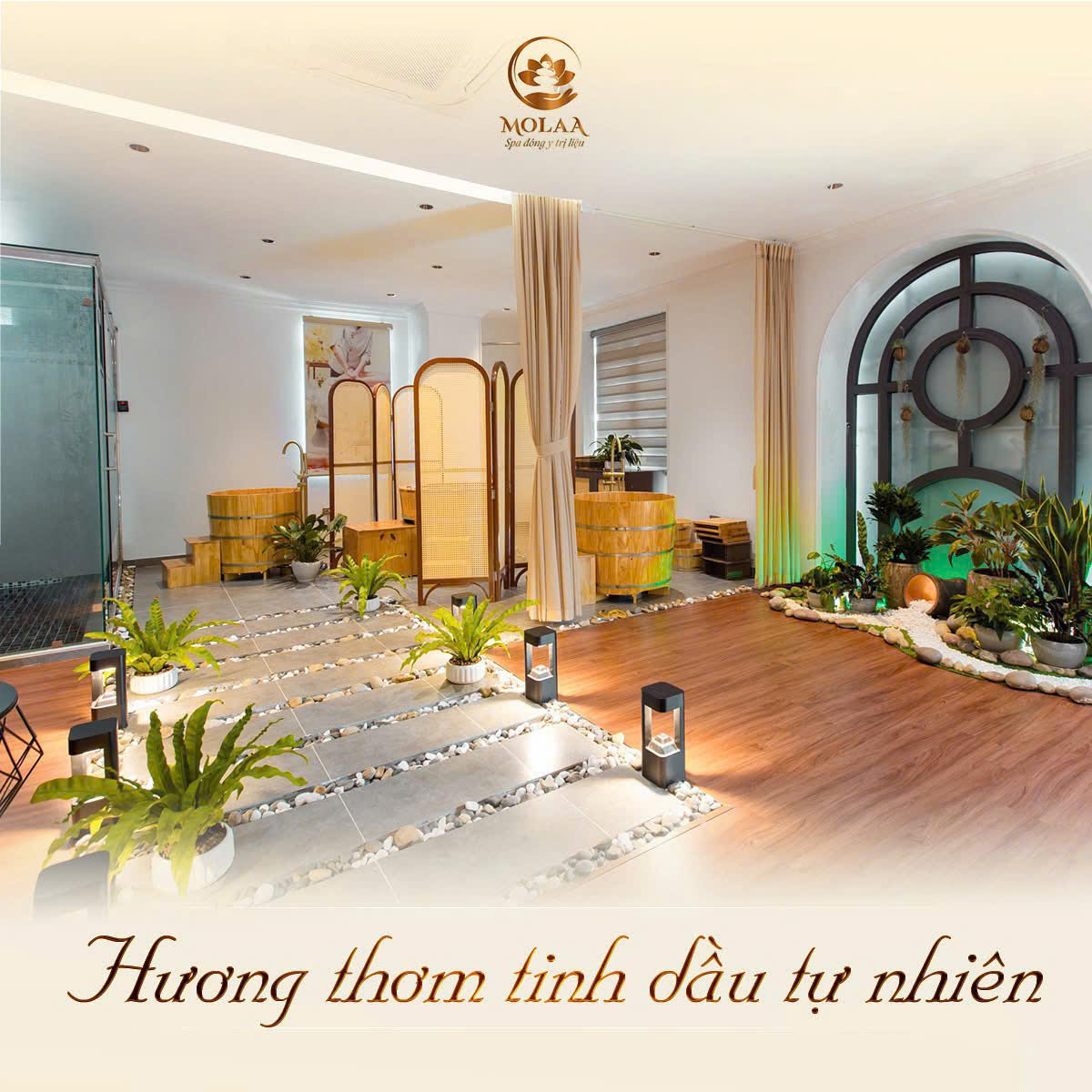 MOLAA Healing Center Móng Cái - Hình 2